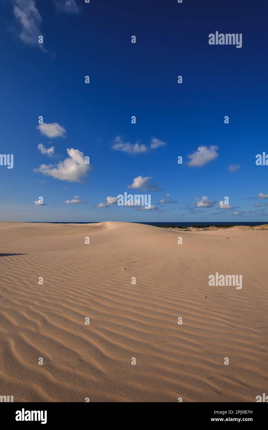 Magnifique paysage de vacances en bord de mer. Dunes en mouvement dans le désert dans le parc national de Slowinski à Leba, Pologne. Banque D'Images
