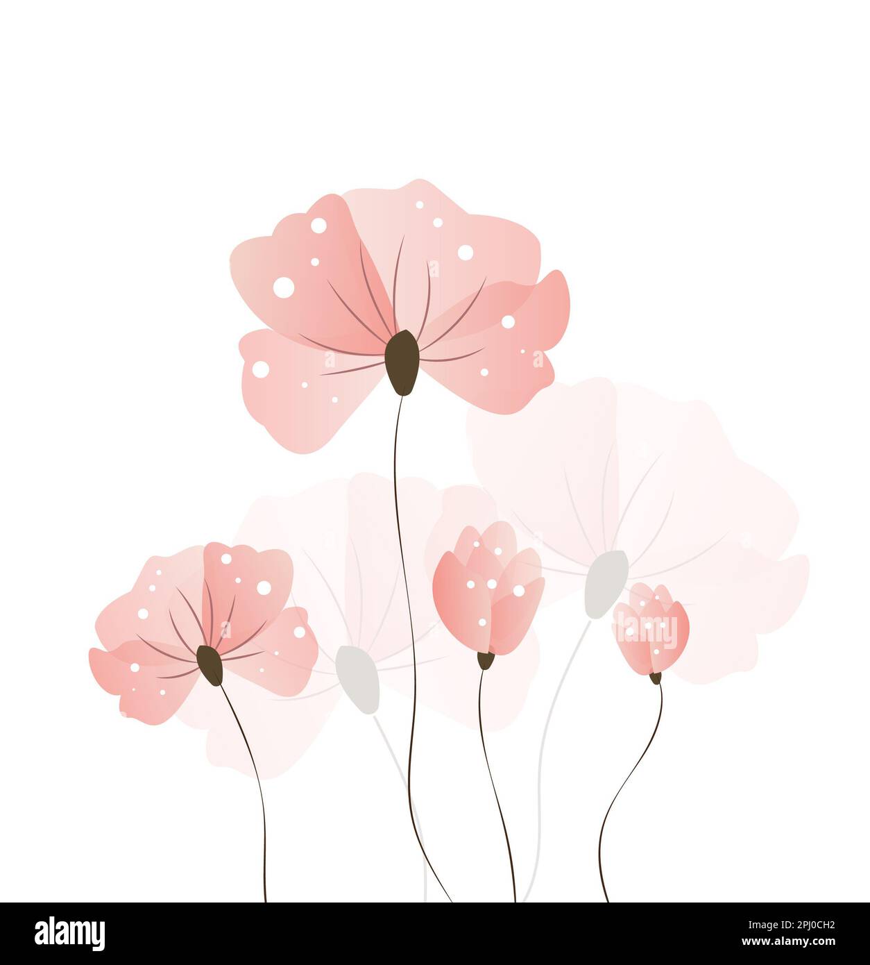 Roses et pivoines rose pâle avec feuilles grises sur fond gris. Motif vectoriel sans couture. Illustration romantique de fleurs de jardin. Couleurs décolorées. Banque D'Images