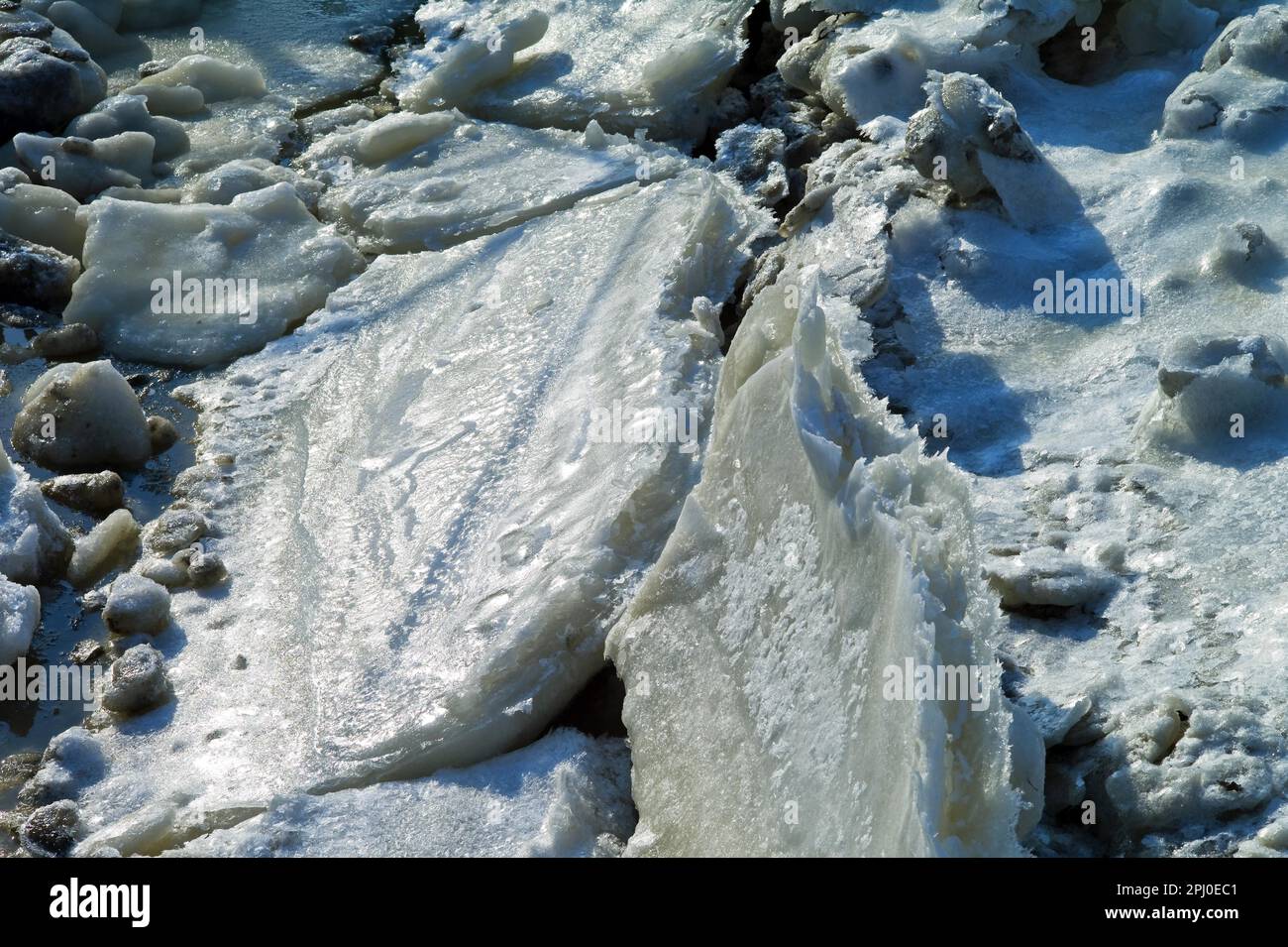 Floes de glace dans le port de Fedderwardersiel, district de Wesermarsch Banque D'Images