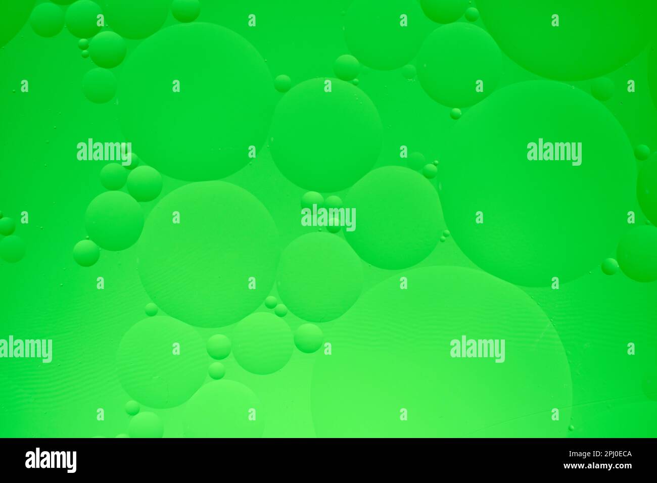 Arrière-plan abstrait avec cercles d'huile verts et dégradé. Banque D'Images