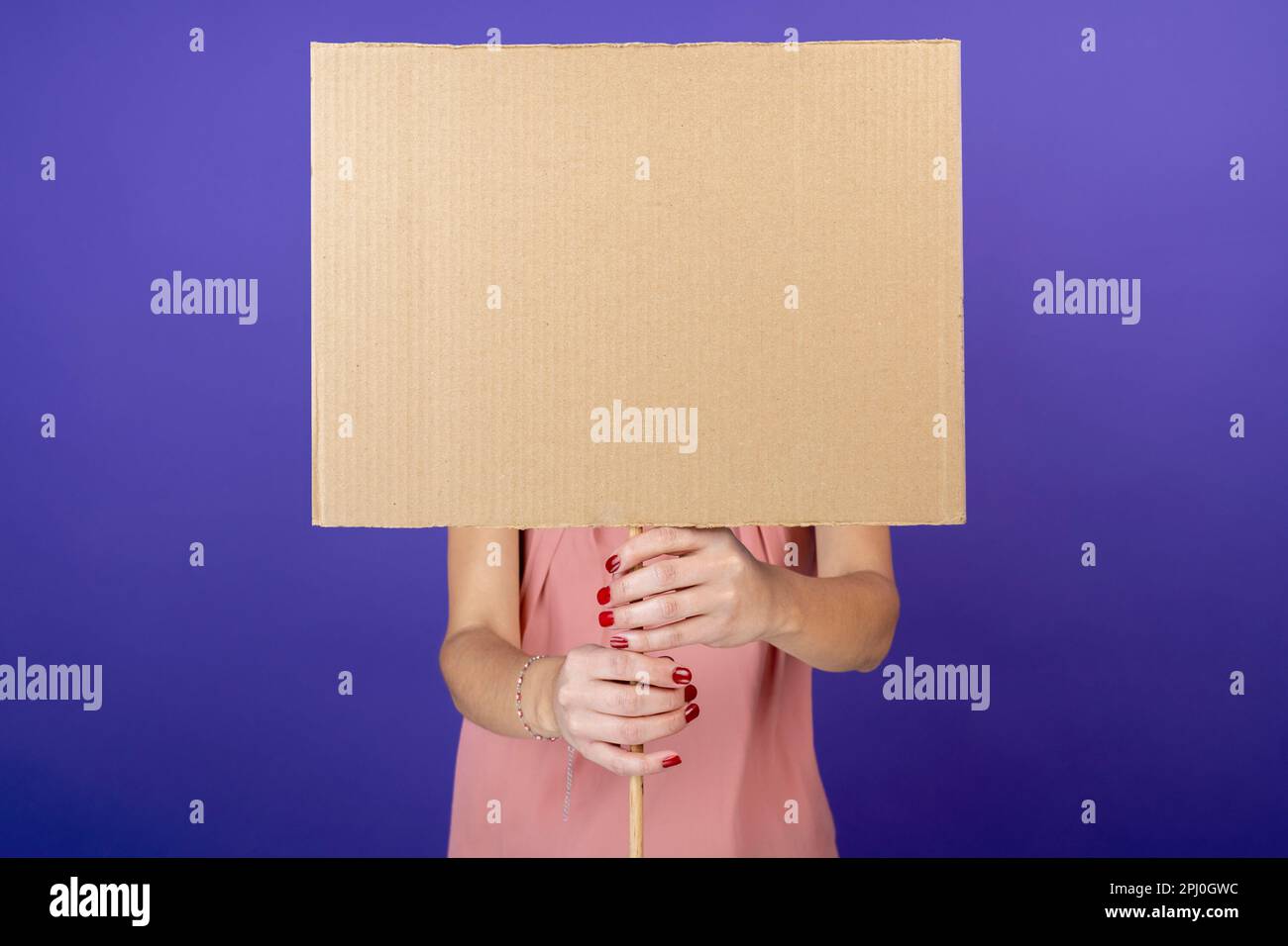 mains de femme tenant une bannière couvrant son visage sur fond de velours violet isolé Banque D'Images