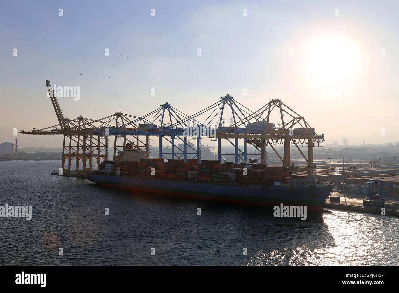 APM Muelle sur Container terminal au coucher du soleil, Barcelone, Catalogne, Espagne, mer Méditerranée, Europe Banque D'Images