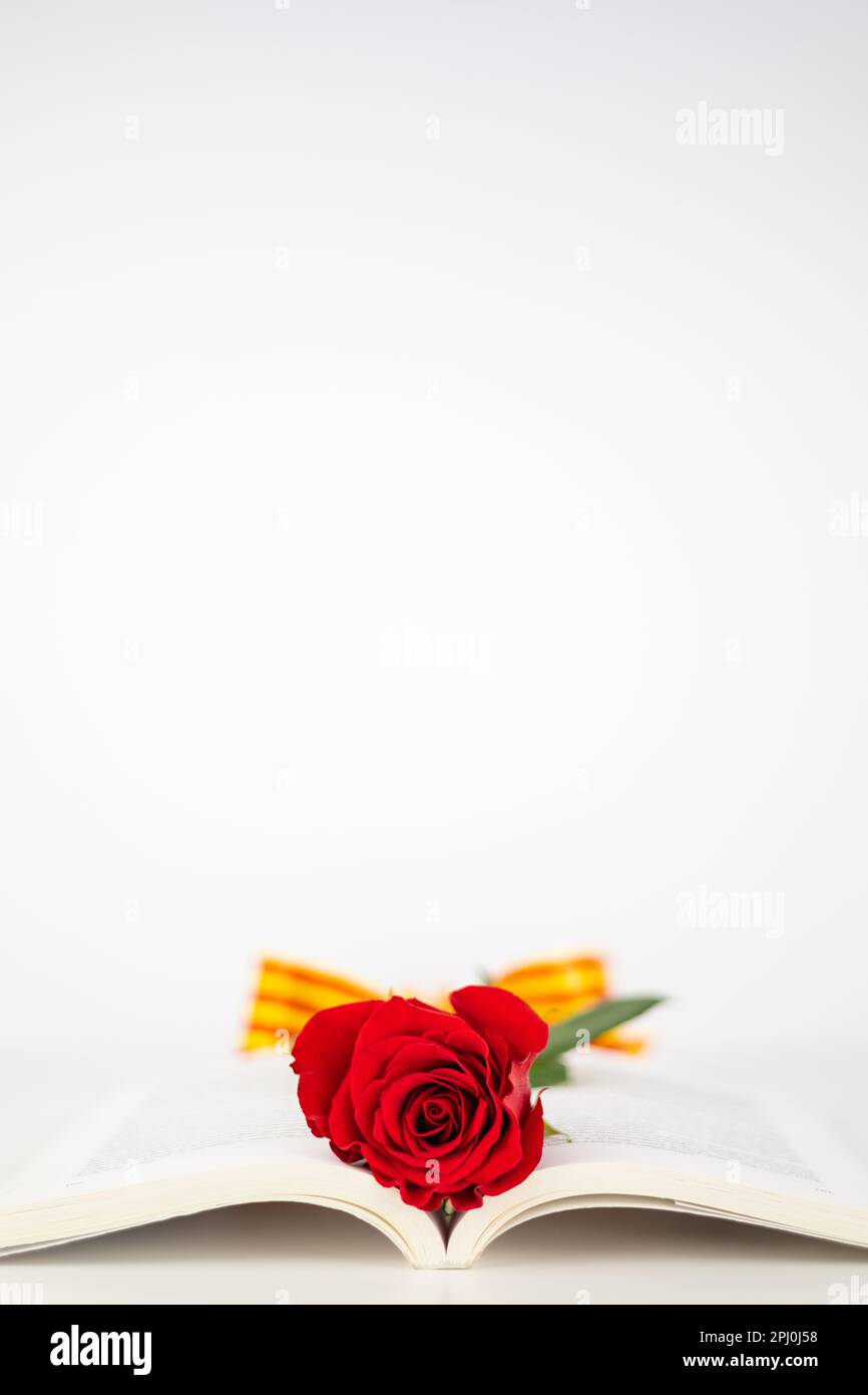 Gros plan rose rouge et oreille de blé dans un livre ouvert pour Diada de Sant Jordi. Tradition de la fête de St Jordi en Catalogne. Livre catalan et rose jour de fleur Banque D'Images
