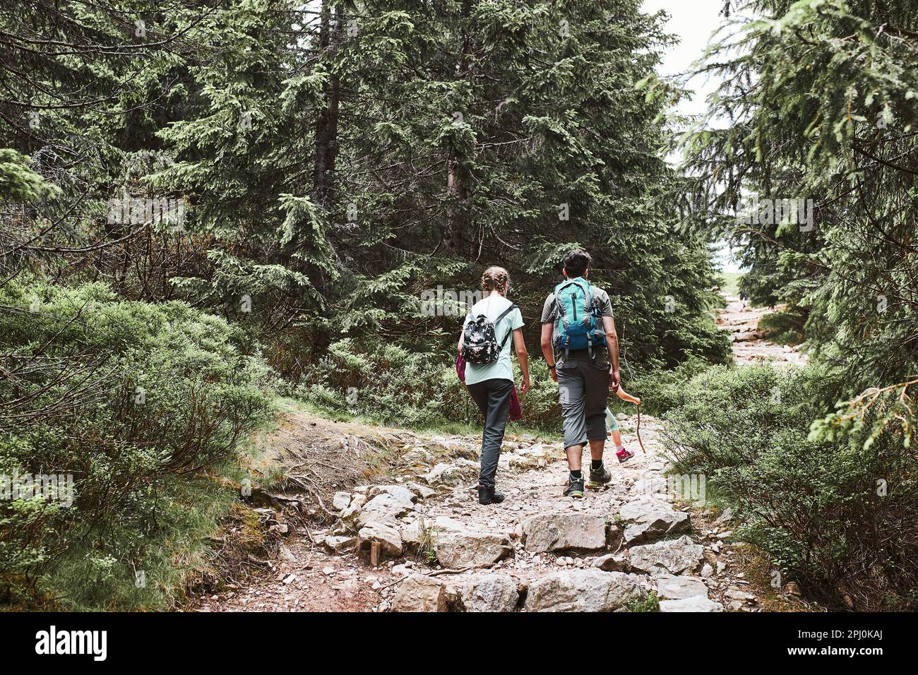 Famille avec des sacs à dos randonnée dans une montagne passer des vacances d'été ensemble sur le chemin de la forêt parler et admirer la nature de montagne lan Banque D'Images