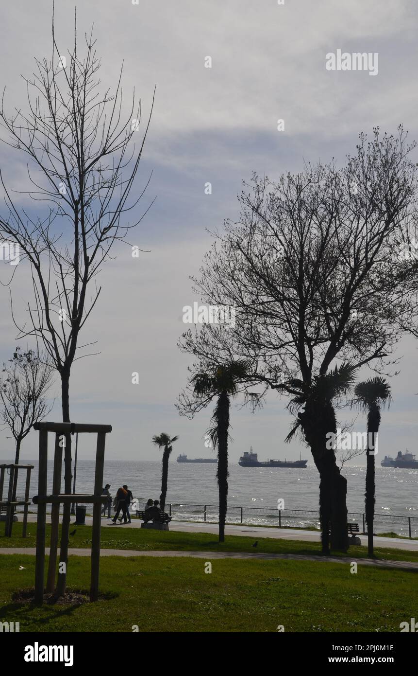 Novembre, 2022 Florya Beach, arbres, navires et personnes Turquie Istanbul Banque D'Images