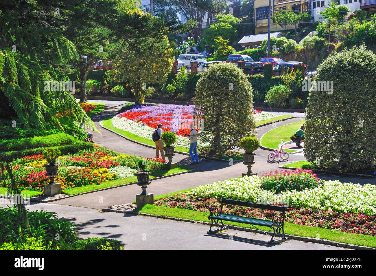 Floral coloré affiche, Wellington Botanic Garden, Wellington, Wellington, North Island, New Zealand Banque D'Images