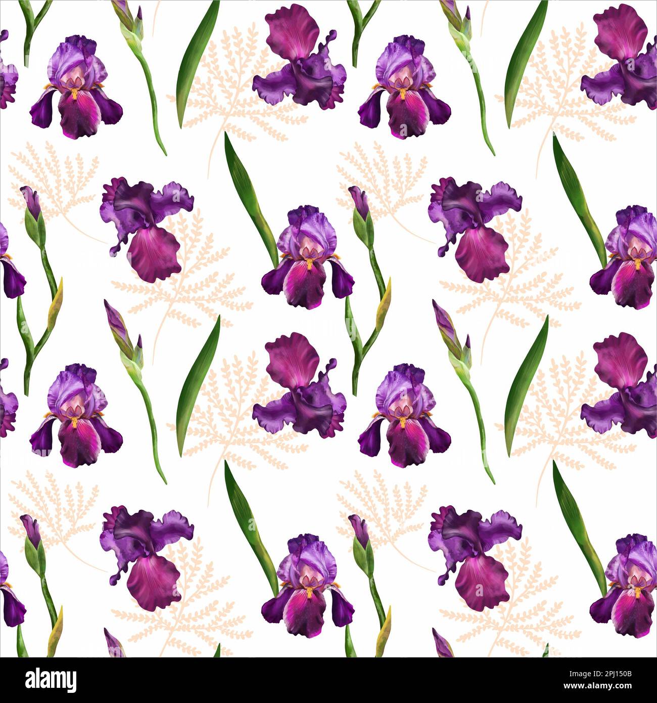 Motif aquarelle sans couture : fleurs de l'iris violet, bourgeons, feuilles vertes et élément végétal rose. Motif fleuri avec éléments réalistes dessinés à la main pour le texte Banque D'Images