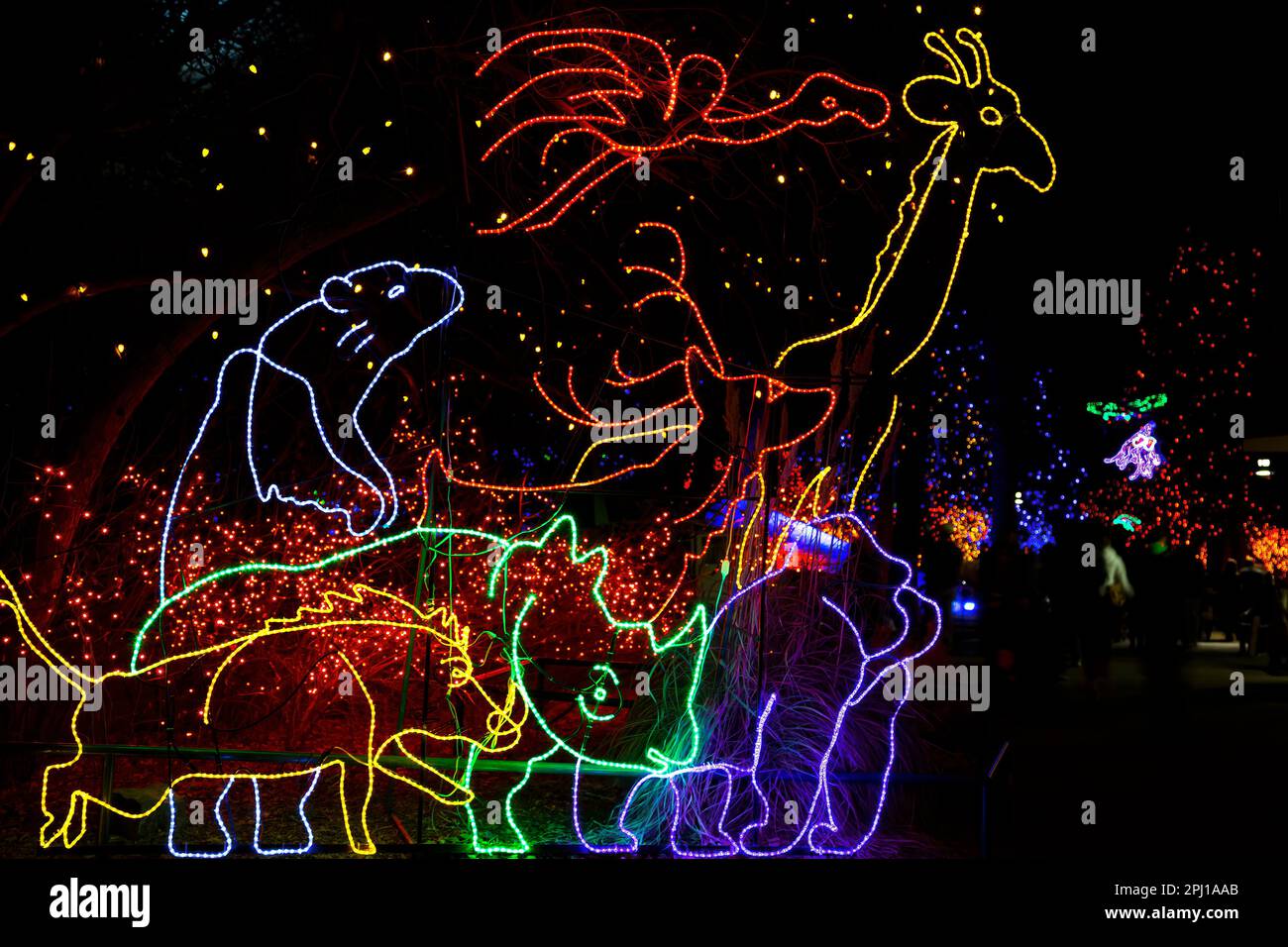 Les lumières de Noël en forme d'animaux, Zoo, Zoo de Denver, Denver, Colorado USA Banque D'Images