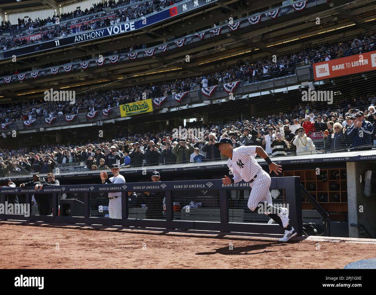 Bronx, États-Unis. 30th mars 2023. New York Yankees rookie SS Antony Volpe est présenté pour la première fois au Yankee Stadium dans son premier match de saison régulière en tant que Yankee avant le match des San Francisco Giants dans le match de baseball du jour d'ouverture de la MLB 2023 au Yankee Stadium jeudi, 30 mars, 2023 à New York. Photo de John Angelillo/UPI crédit: UPI/Alay Live News Banque D'Images