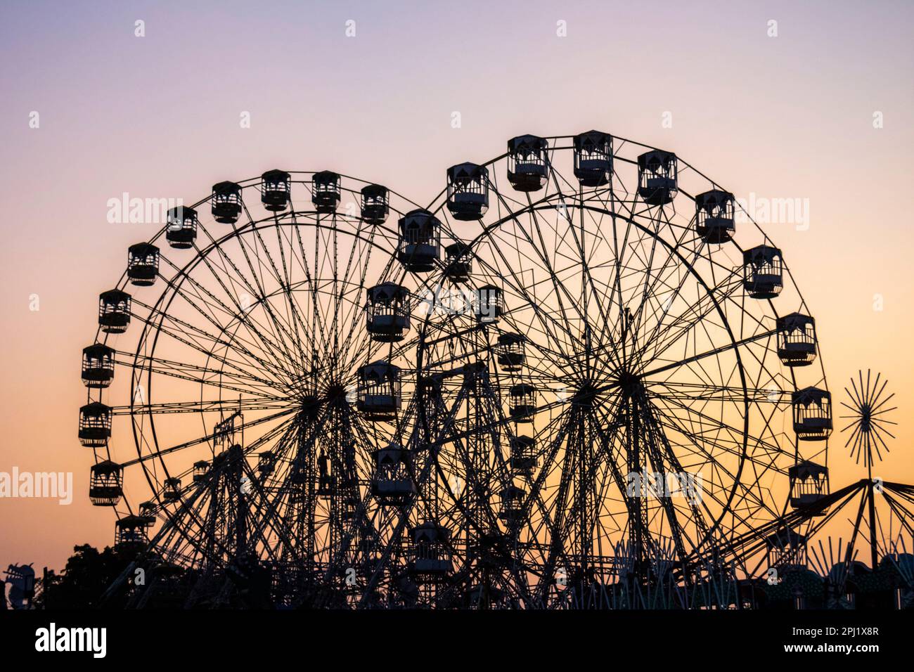Ferris se dépare du soleil pendant la foire de Pouchkar Camel à Rajasthan, en Inde Banque D'Images