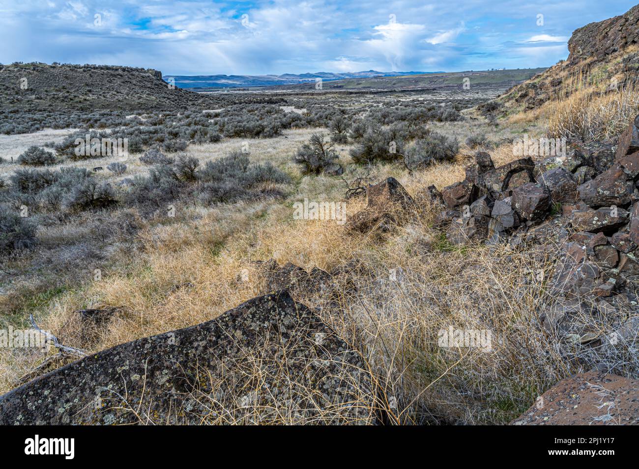 Réserve naturelle nationale de Columbia dans l'État de Washington Banque D'Images