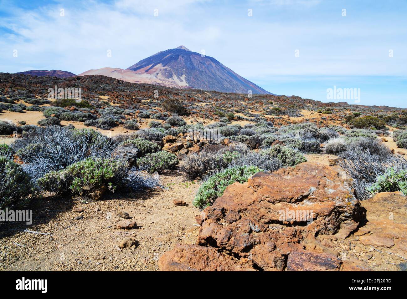 Vue sur le volcan Mont Teide à travers la terre de broussailles et la lave, Santa Cruz de Tenerife, îles Canaries, Espagne. Banque D'Images