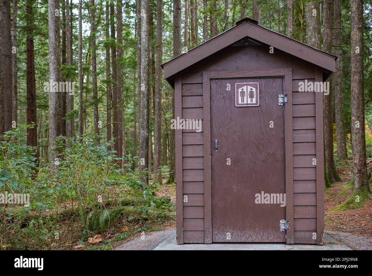 toilettes publiques dans le parc. Jour d'été toilettes en bois ou bâtiment de toilettes dans la forêt éloignée dans le parc. Salles de bains ou toilettes. Personne, photo de rue, mise au point sélective Banque D'Images