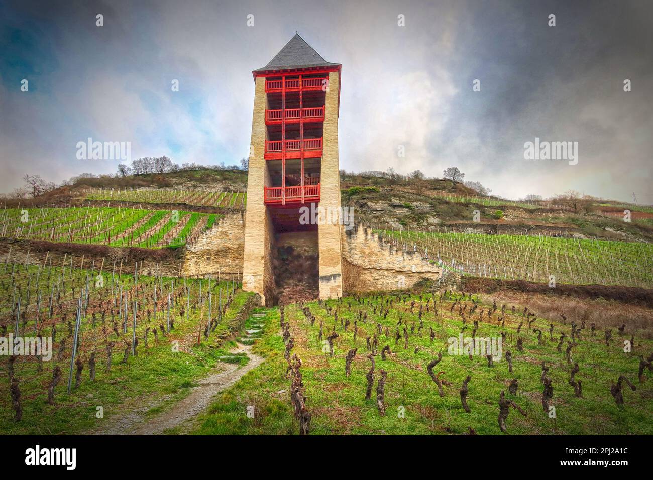 Tour de poste de Postenturm dans le vignoble, Bacharach (Bacharach am Rhein), quartier de Mayence-Bingen, Allemagne Banque D'Images