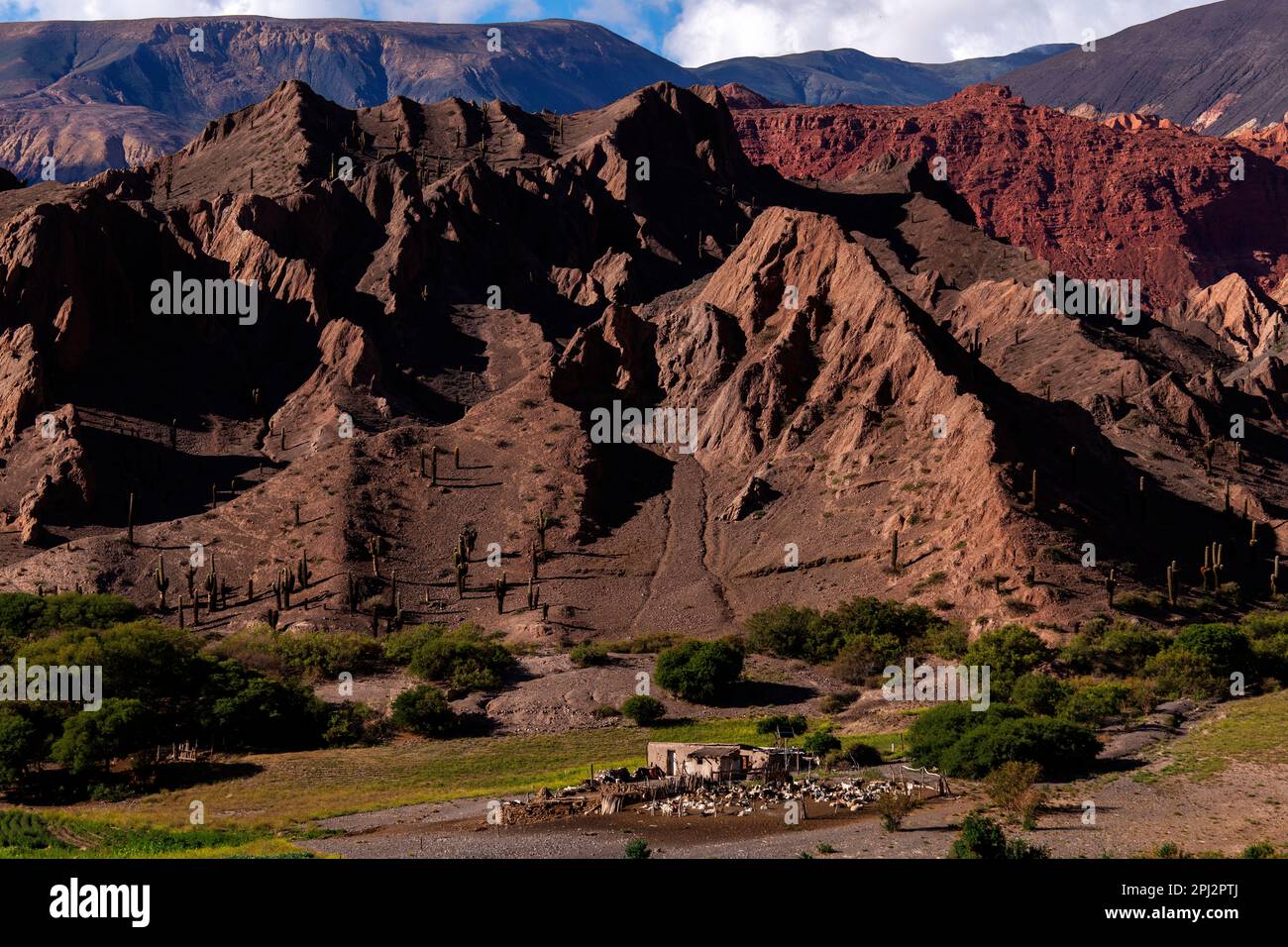 Paysage de montagne sauvage de la Ruta 51, sur le chemin de la ville de Salta, province de Salta, Argentine Banque D'Images