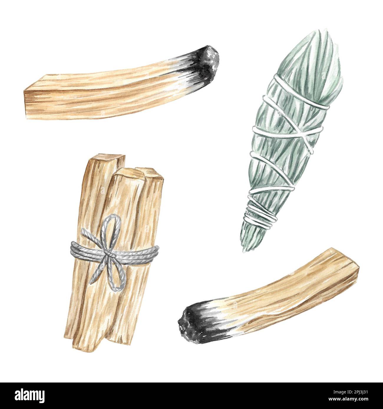 Illustration aquarelle de Palo santo Stick Banque D'Images