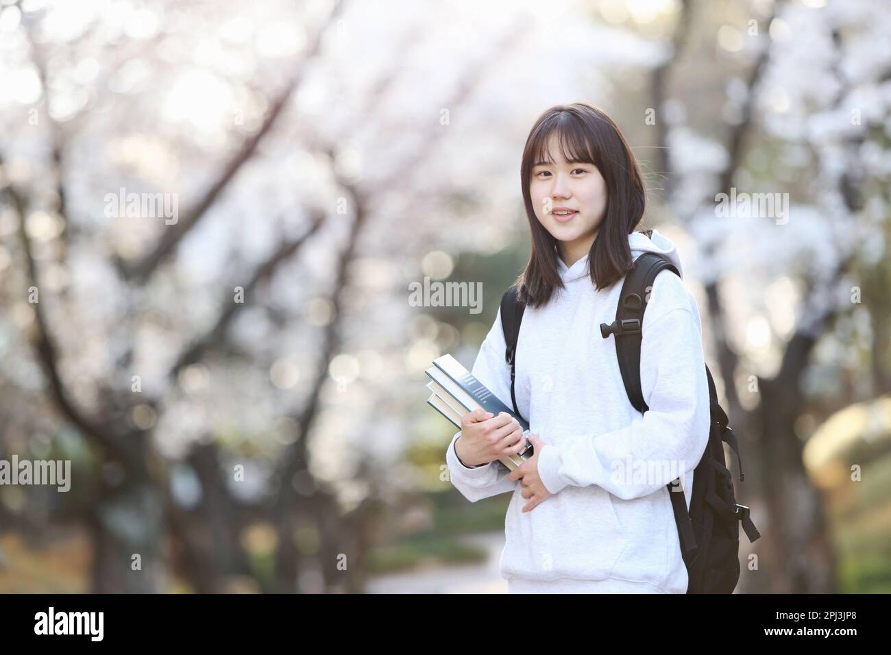 Saison d'admission école de printemps les élèves féminins du secondaire et des étudiants de l'université souriant avec des expressions heureuses devant le cerisier de fleur tre Banque D'Images