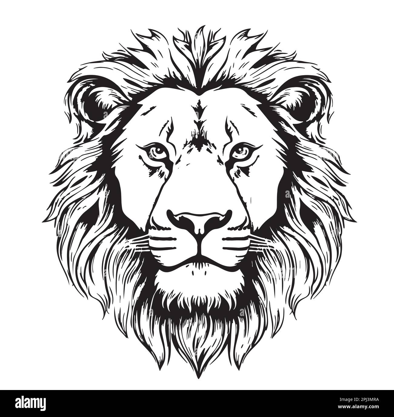 Dessin de la face du lion dessiné à la main dans une illustration de style dessin animé Illustration de Vecteur