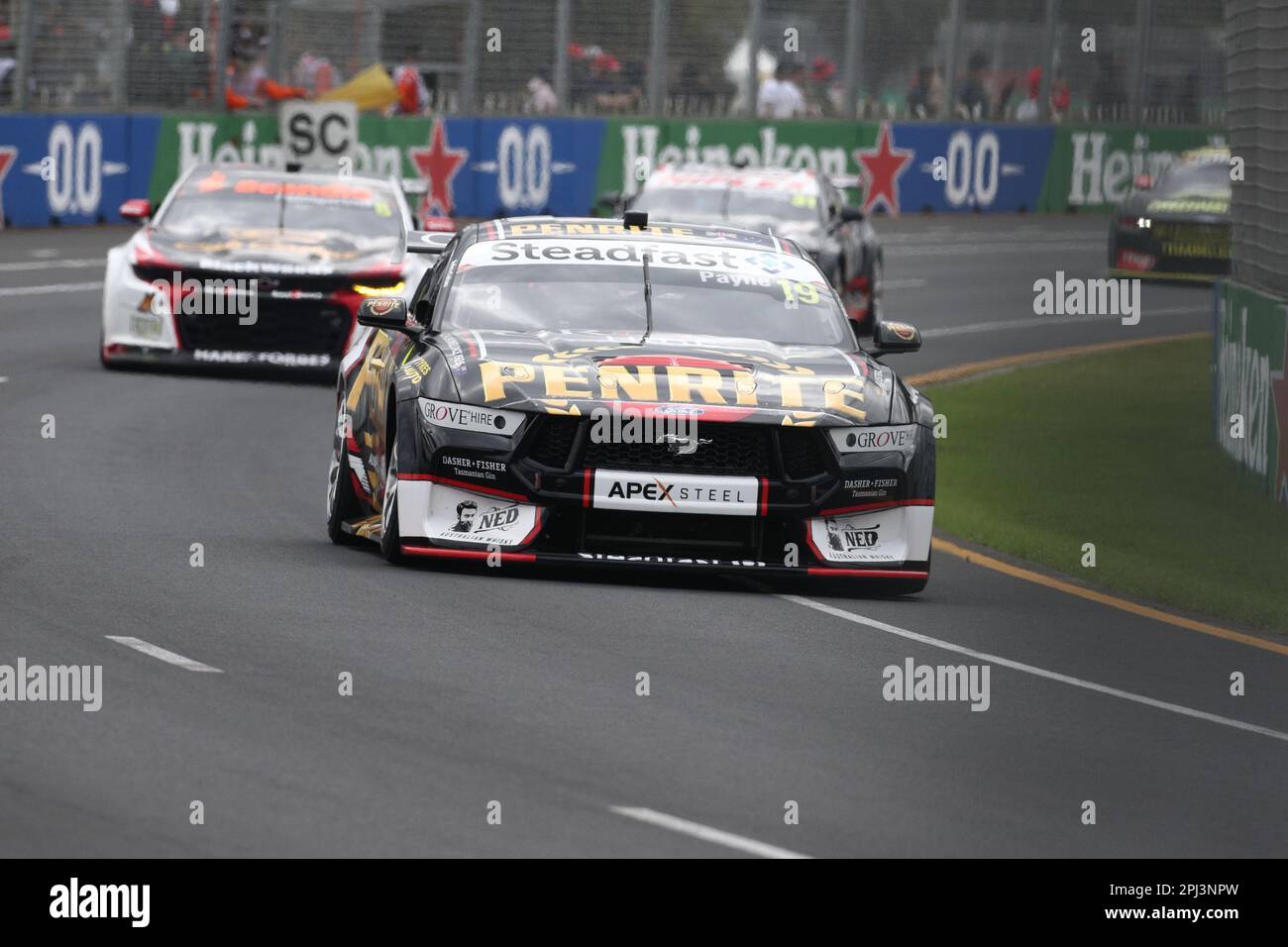 Albert Park, Melbourne, Victoria, Australie. 31st mars 2023. FIA Formula One World Championship 2023 - Formule 1 Rolex Australian Grand Prix - Repco Australian Supercars Championship - Beaurepaires Melbourne SuperSprint Matthew Payne pilotant la #19 Penrite Racing Team Ford Mustang GT lors du Championnat du monde Formule 1 de la FIA 2023 crédit d'image : brett keating/Alay Live News Banque D'Images