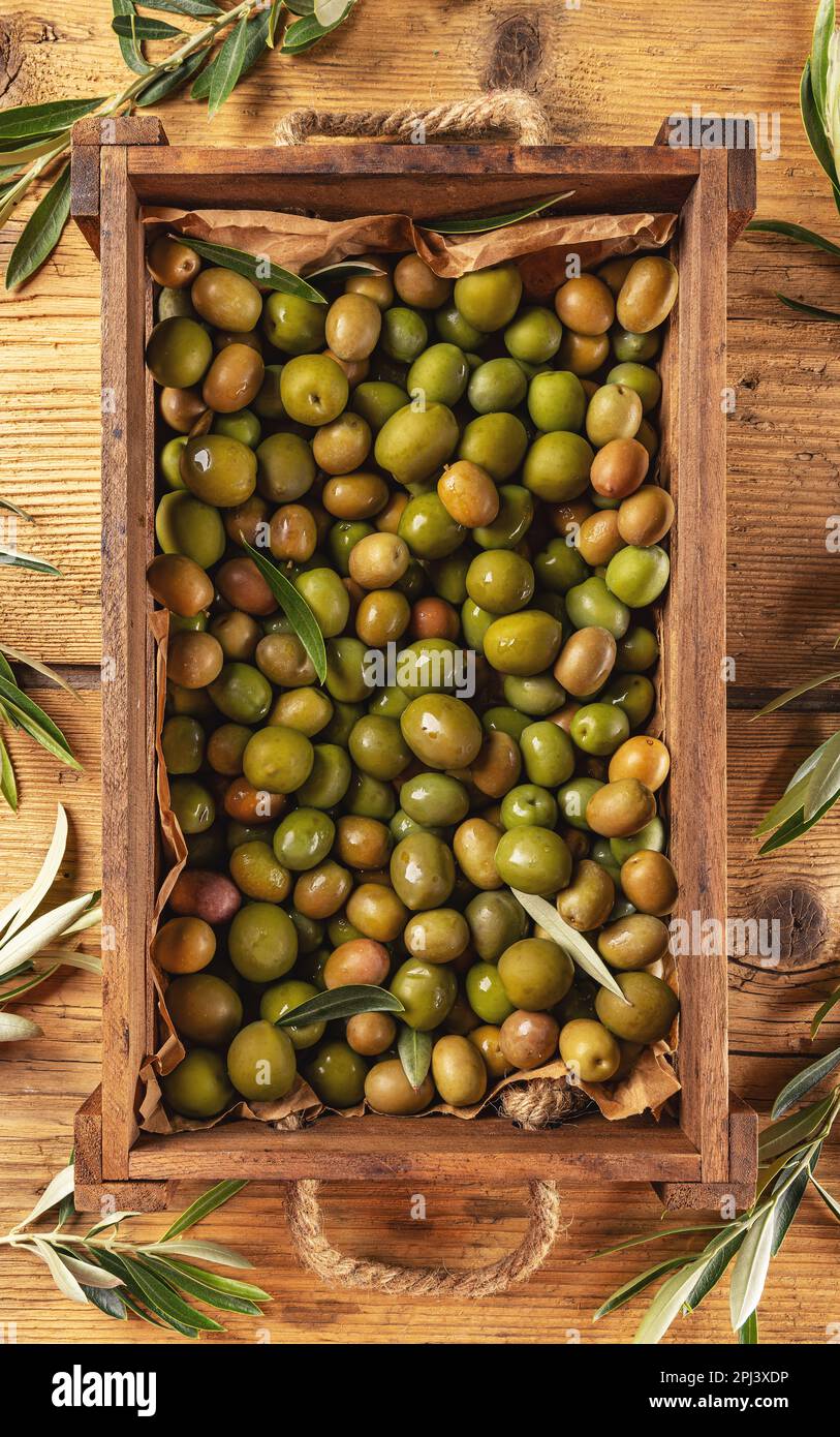 Olives mûres dans une caisse en bois prête à être transformée en huile d'olive, vue de dessus Banque D'Images