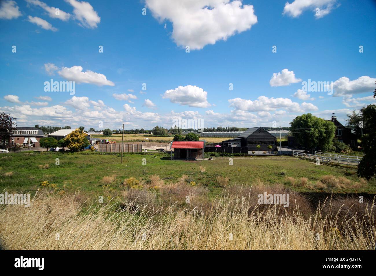 Prairie avec des animaux le long du Ringvaart du Zuidplaspolder à Nieuwerkerk Noord aux pays-Bas Banque D'Images