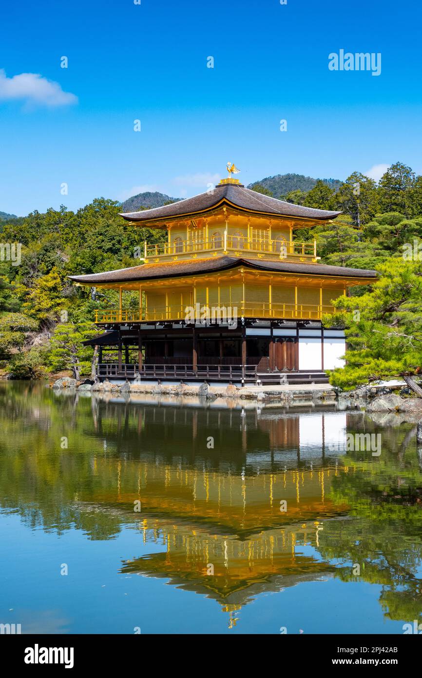 Vue sur le célèbre Pavillon d'or du temple Kinkaku ji (Golden) de Kyoto, Japon Banque D'Images