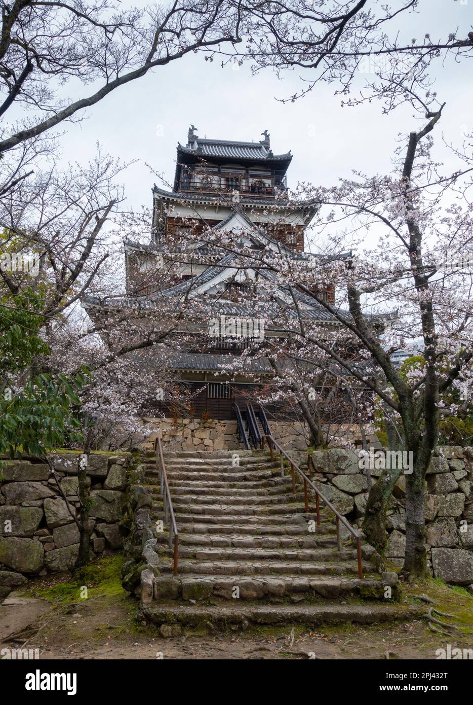 Vue extérieure du château d'Hiroshima en saison des cerisiers en fleurs, Hiroshima, Japon Banque D'Images