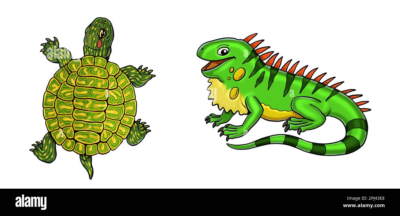 Illustration de l'iguane et de la tortue mignonne. Illustration isolée avec animaux drôles et heureux. Page de coloriage pour enfants. Banque D'Images