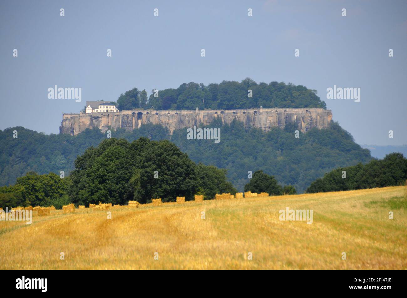 Allemagne, Saxe suisse (Sächsische Schweiz): La forteresse de Königstein (361 mètres), vue depuis un champ de maïs récolté près du Pfaffenstein. Banque D'Images