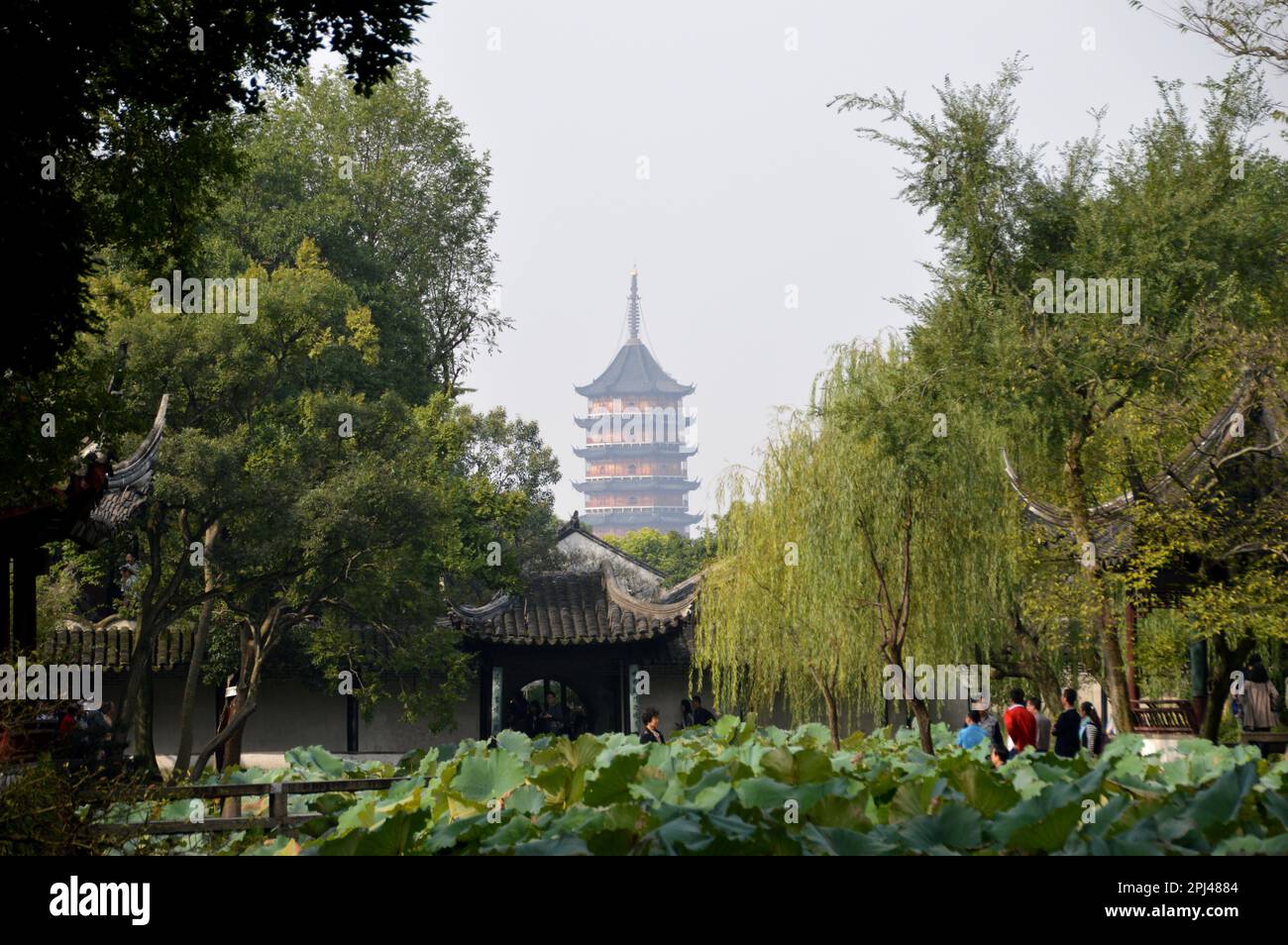 République populaire de Chine, province de Jiangsu, Suzhou: Jardin de l'humble Administrateur (Zhuozheng Yuan), construit dans la dynastie Ming (1509), la larg Banque D'Images