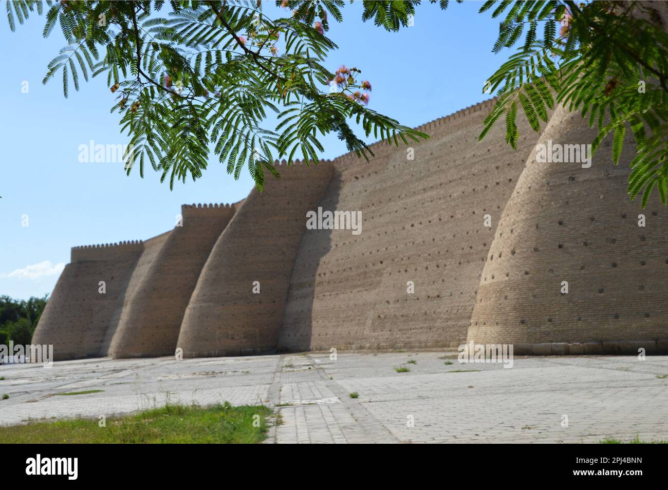 Ouzbékistan, Boukhara: Les puissants murs défensifs de l'Arche, la résidence fortifiée de l'émir. Banque D'Images