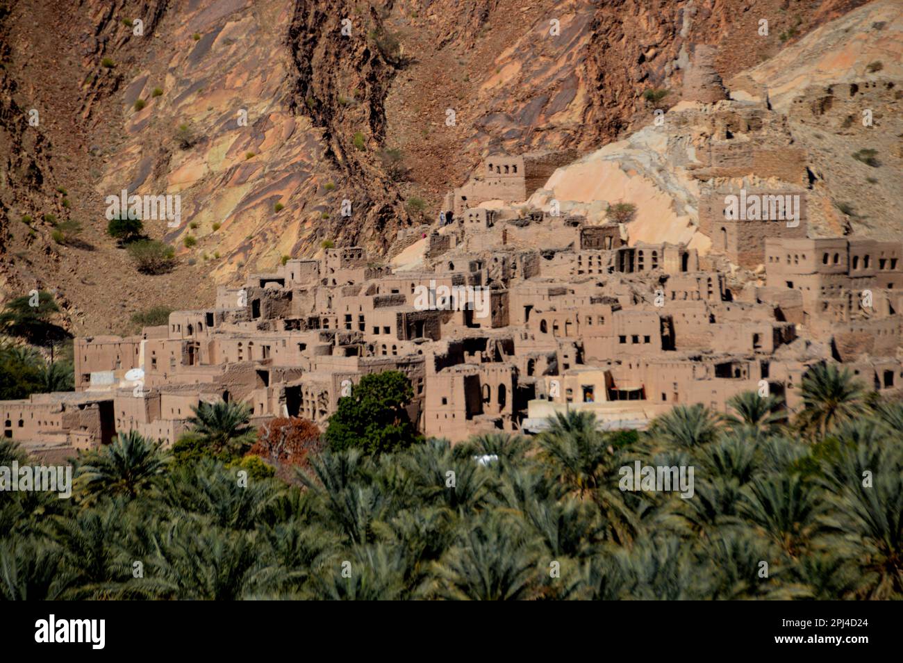 Oman, Birkat al Mawz : un village de bâtiments en brique-boue abandonnés au pied d'un affleurement spectaculaire en pierre, entouré d'une mer de palmiers dattiers. Banque D'Images
