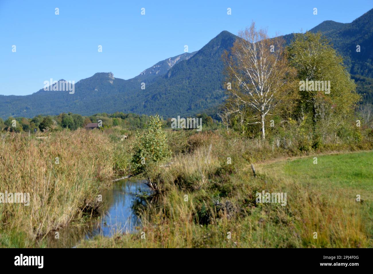 Allemagne, haute-Bavière, Murnau: Une vue d'automne de la réserve naturelle de Murnauer Moos (Moss) avec les montagnes Ester en arrière-plan. Banque D'Images