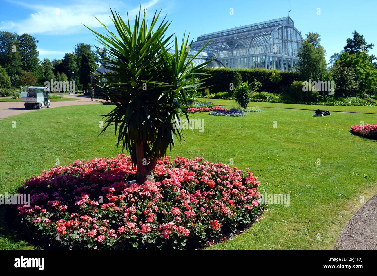 Suède, Göteborg : partie des jardins botaniques, ouverte en 1923, l'un des plus beaux d'Europe. Les serres abritent plus de 4500 espèces Banque D'Images