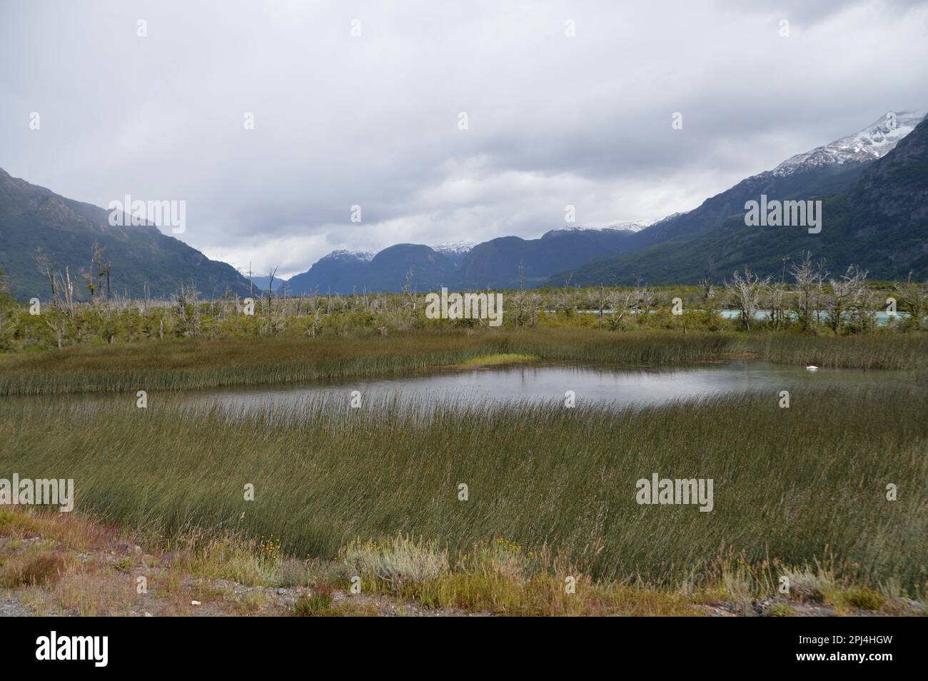 Chili, Patagonie : vue sur la vallée de l'Ibanez avec de nombreuses piscines fréquentées par les oiseaux sauvages. Banque D'Images