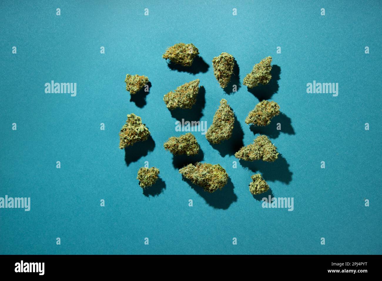 Les bourgeons secs de marijuana médicale sont sans ordre sur un fond bleu-vert. Vue de dessus, espace de copie Banque D'Images
