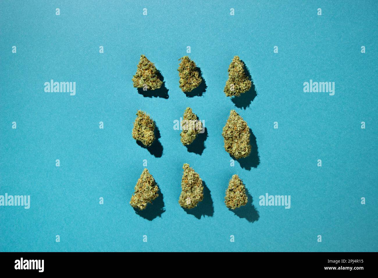 Les bourgeons secs de marijuana médicale se trouvent dans l'ordre sur un fond bleu-vert. Vue de dessus, espace de copie Banque D'Images