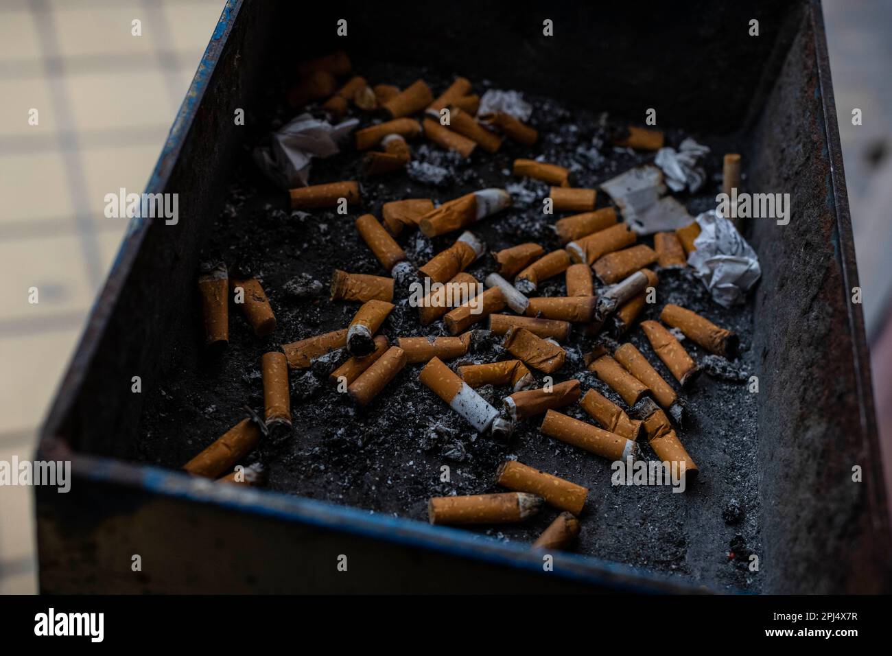 Mégots de cigarettes dans le plateau Banque D'Images