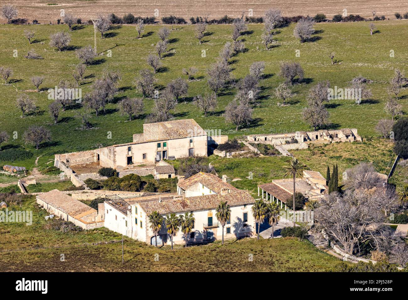 finca, domaine rural près du village d'Algaida à Majorque, Majorque, Iles Baléares, Espagne, Europe Banque D'Images