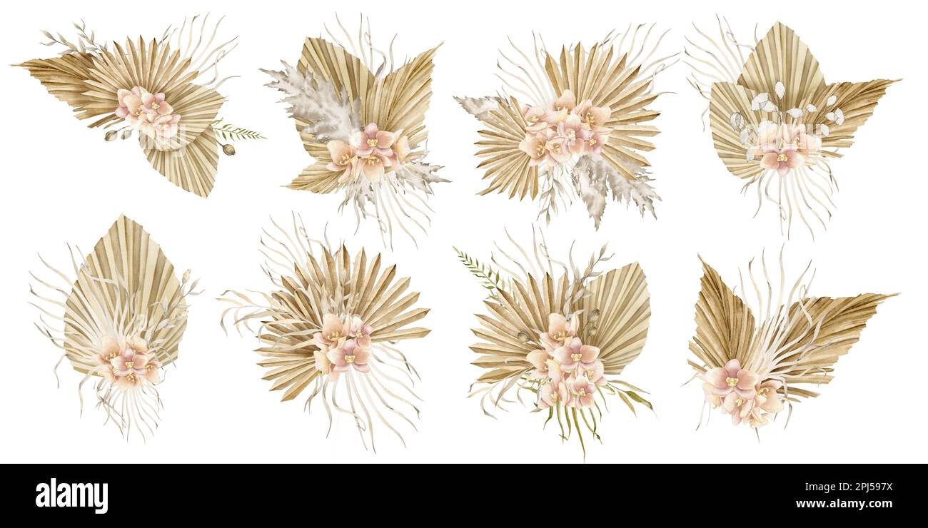 Ensemble avec fleurs séchées et feuilles de palmier de style boho. Forfait aquarelle avec bouquets bohème sur fond isolé pour cartes de vœux ou invitations de mariage. Illustrations tropicales dessinées à la main. Banque D'Images