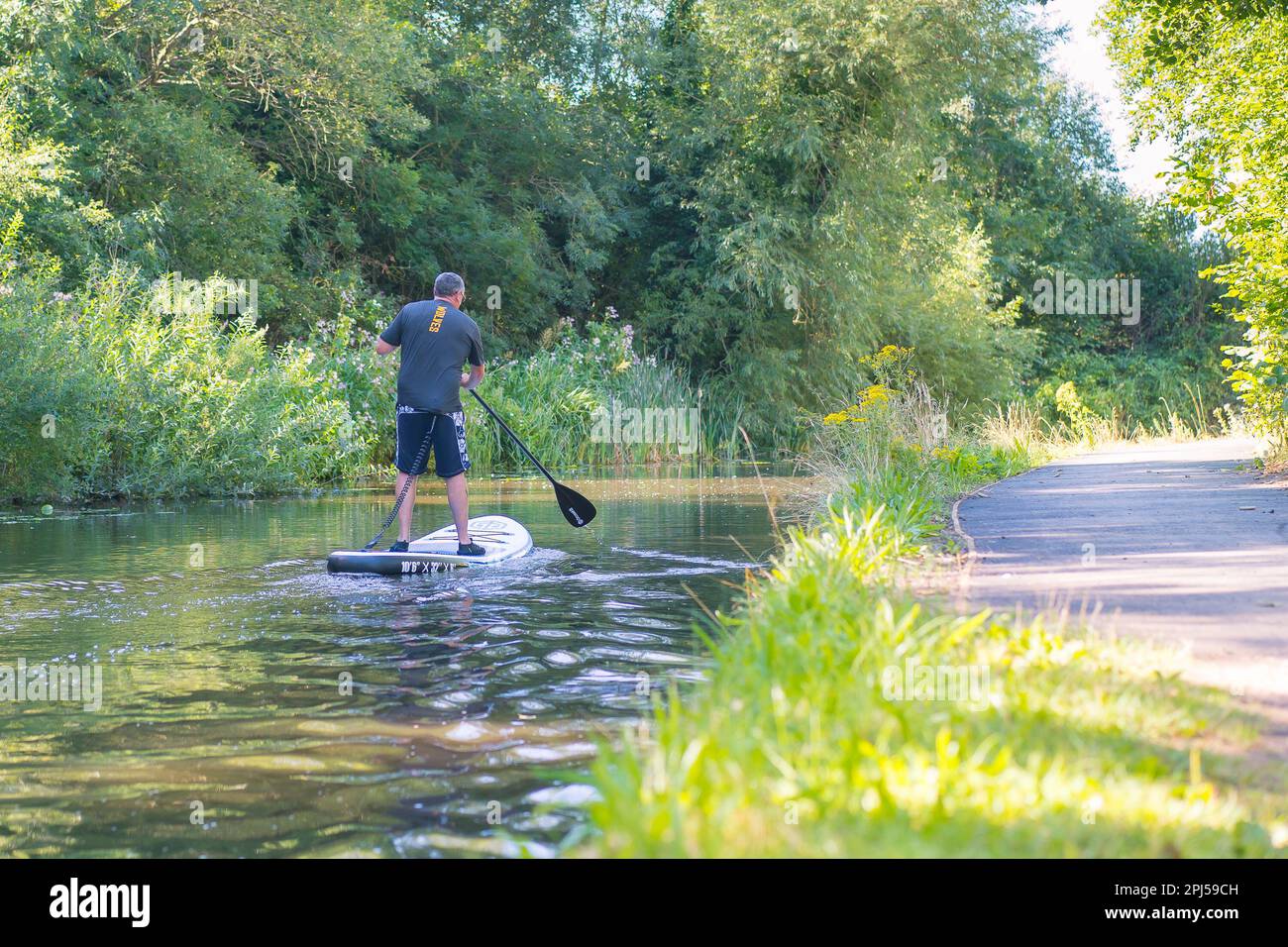 Vue arrière d'un homme debout isolé sur un paddle-board, pagayant son chemin le long d'un canal britannique en été. Banque D'Images