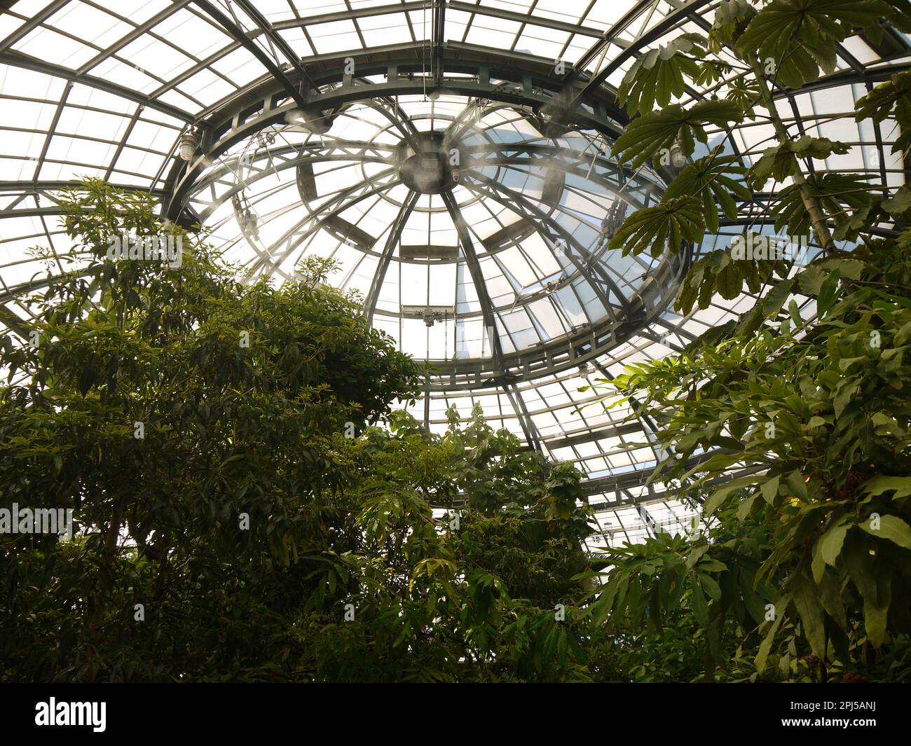 La rotonde de la Fondation Rose Hills Conservatoire pour les sciences botaniques (section de la forêt tropicale), Huntington Botanical Gardens, Saint-Marin Banque D'Images