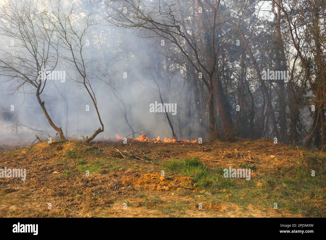 La Belga Baja, Espagne, 31th mars 2023: De petites fissures de feu sont apparues au cours de plus d'une centaine d'incendies dans les Asturies de 31 mars 2023, à la Belga Baja, Espagne. Credit: Alberto Brevers / Alay Live News Banque D'Images
