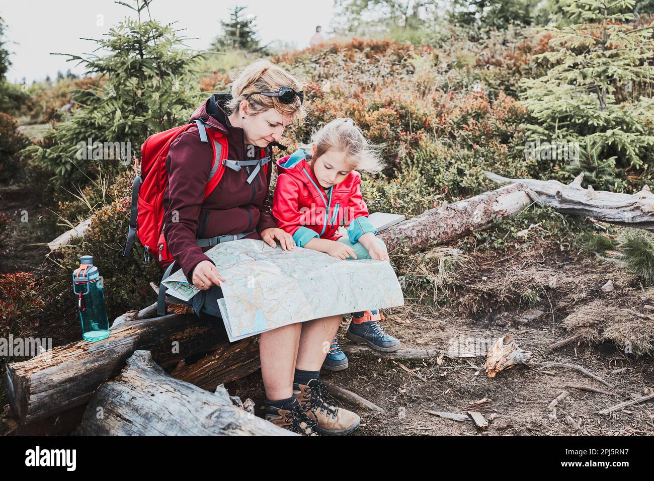 Voyage en famille en montagne. Mère et sa petite fille examinant une carte, assise sur une souche, prenant une pause pendant le voyage d'été Banque D'Images