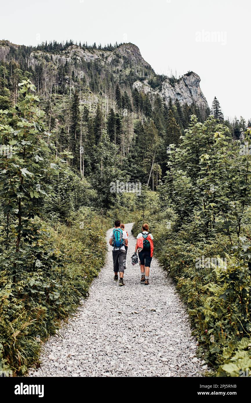 Famille avec des sacs à dos randonnée dans une montagne passer des vacances d'été ensemble sur le chemin de la forêt parler et admirer la nature de montagne lan Banque D'Images