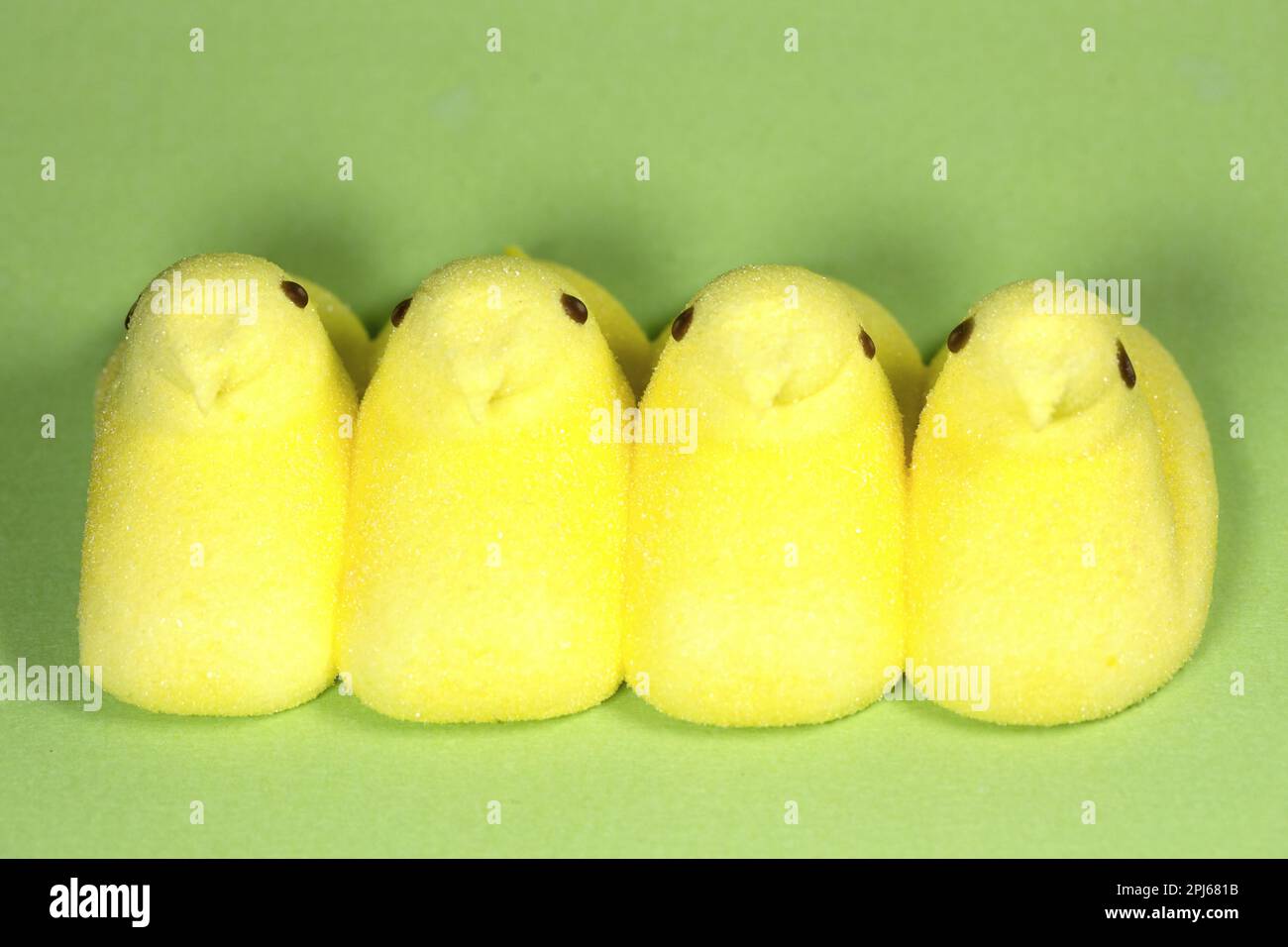 Bonbon de Pâques Peeps jaune dans une rangée. Banque D'Images