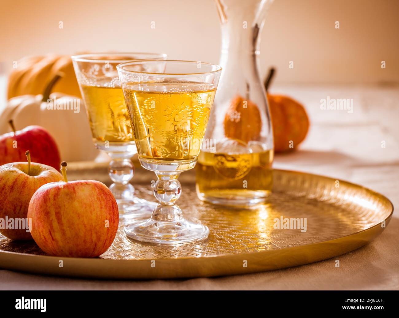 Cidre de pomme avec pommes fraîches et citrouilles pour Thanksgiving et l'automne Banque D'Images