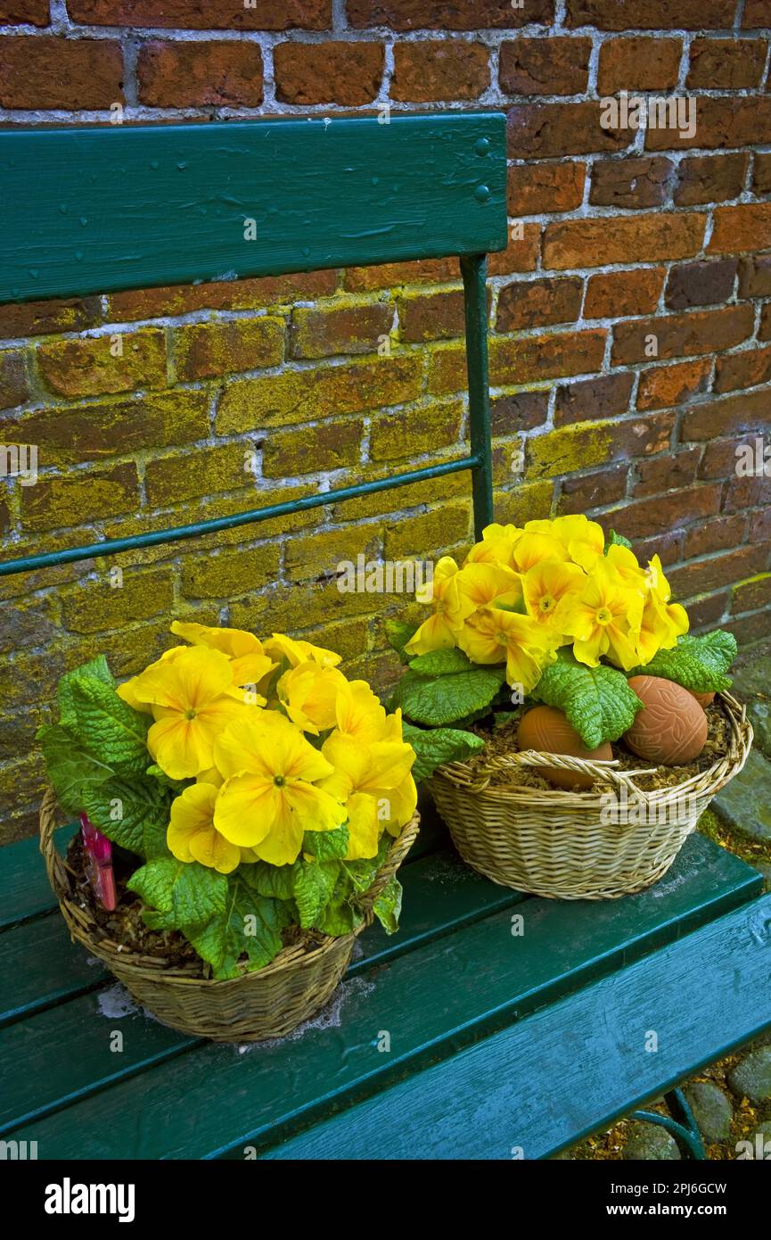 Banc de jardin avec fleurs printanières Banque D'Images