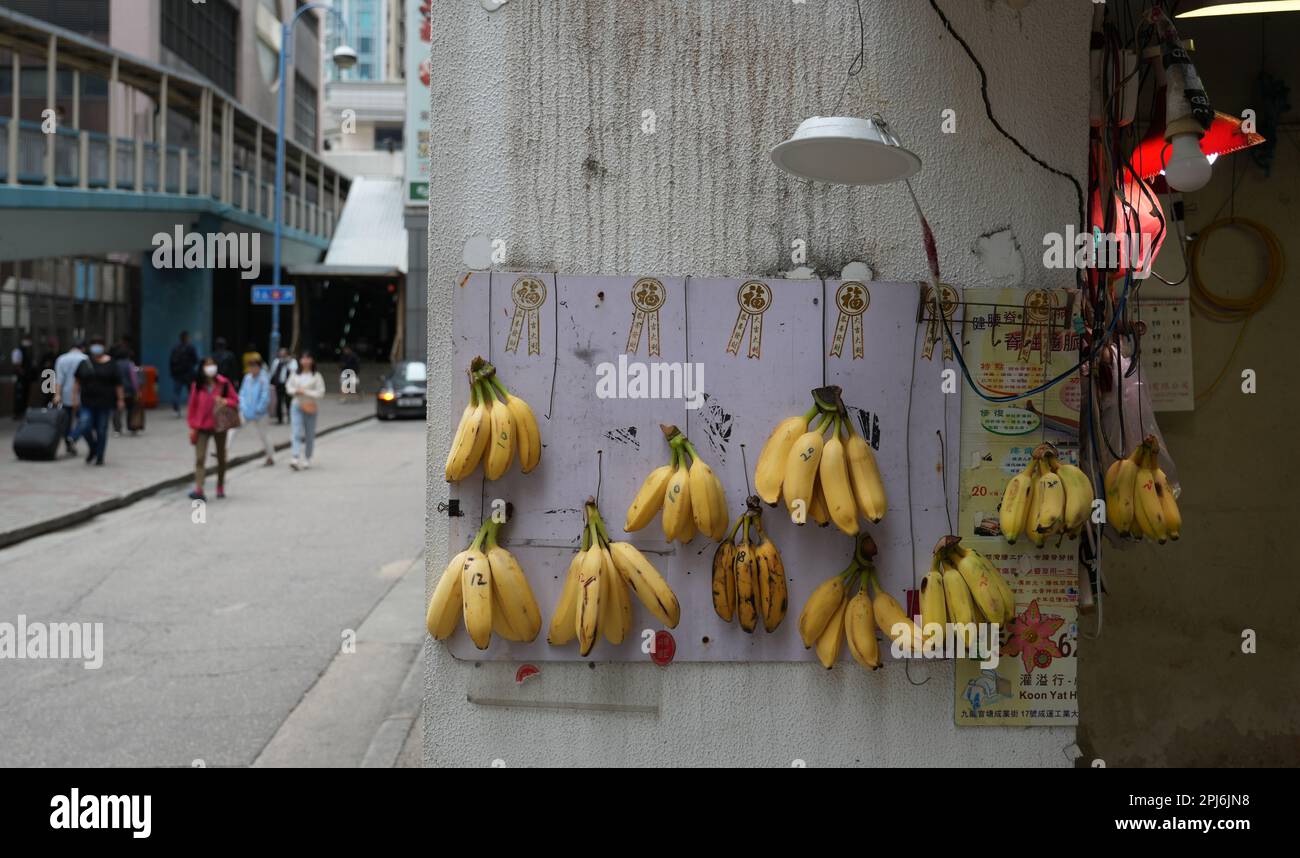 Les bananes sont accrochées à la vente sur un mur d'un magasin, dans un  bâtiment industriel de Kwun Tong. 28MAR23 SCMP / Sam Tsang Photo Stock -  Alamy