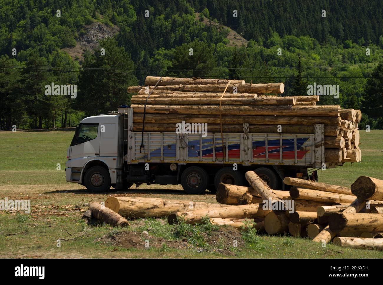 Le Grand Camion Portent Le Bois De Chauffage De Pile Dans Lakatnik